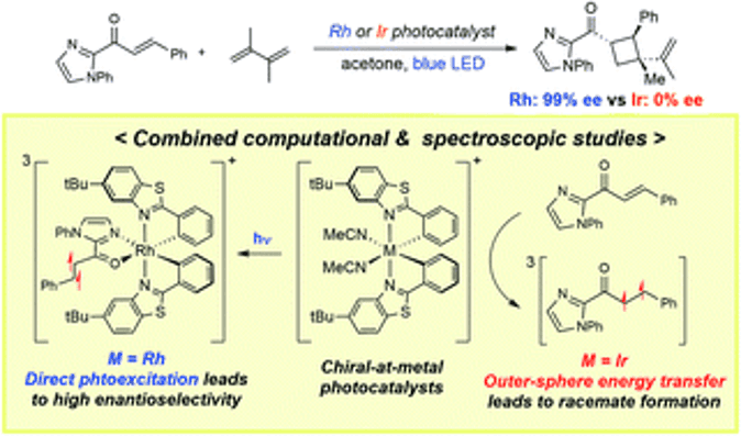 TOC Graphic - Publication 23